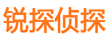 易门市侦探调查公司